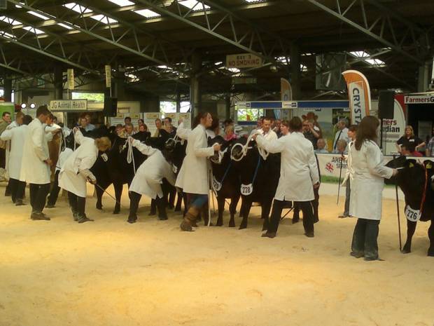 Beef South West set to be a Bonanza
