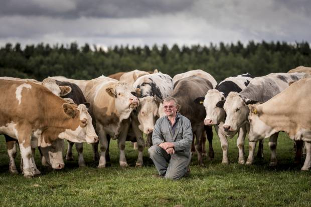 OPEN DAY AND FARM WALK TO GIVE INSIGHT INTO MAXIMISING BEEF MARGINS AND PRODUCTION RESILIENCE