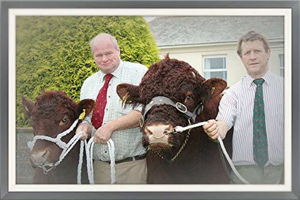 John May, pictured holding his prize winning bull Boskenna Donal, along with Nick Burrington are two of the mainstays of this year’s Beef South West Event