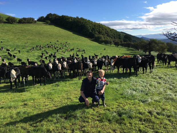 Beef Expo 2018 Farm Tours - Marc Jones, Trefnant Hall, Welshpool