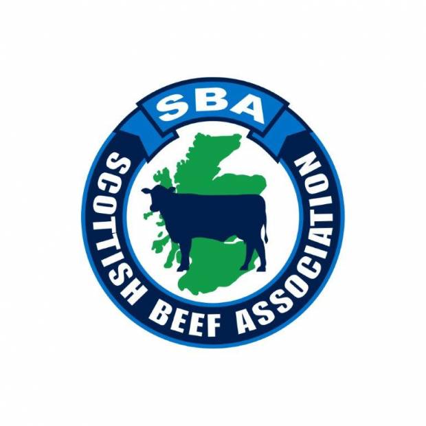 SBA Warn of Real Financial Hardship faced by Beef Producers