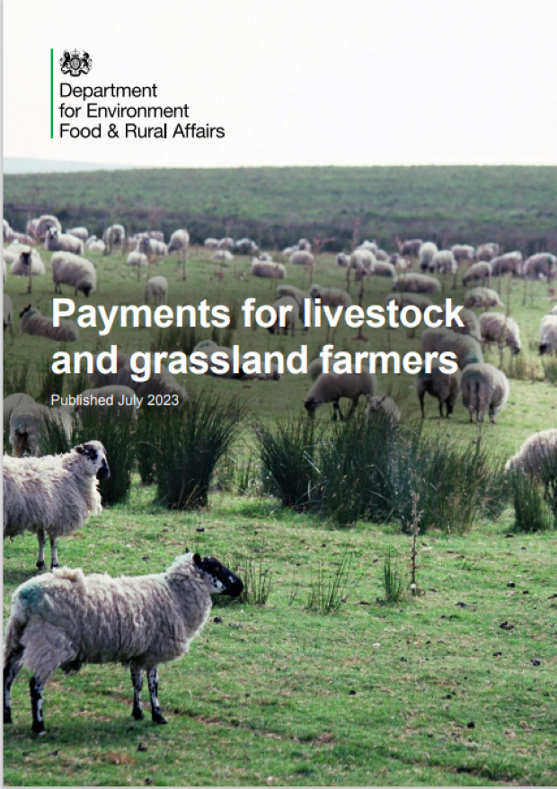 Sustainable Farming Incentive Information Leaflet