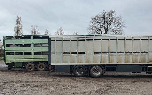 Useable Document for Responding to Consultation on Improvements to animal welfare in transport