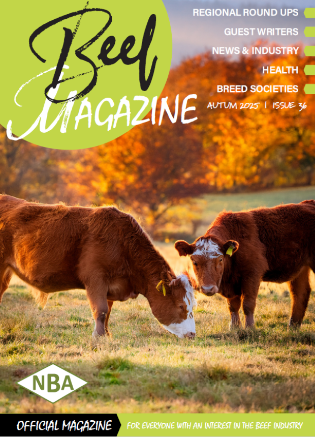National Beef Association Magazine