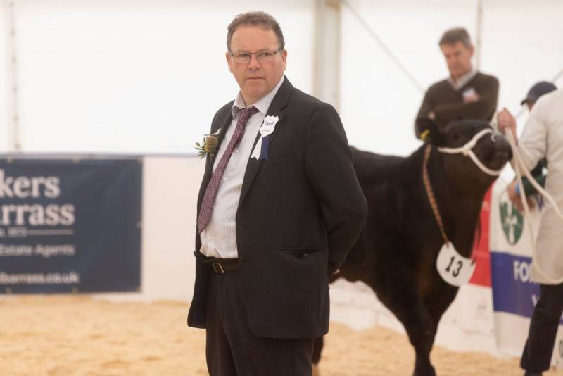 National Commercial Cattle Show 2022