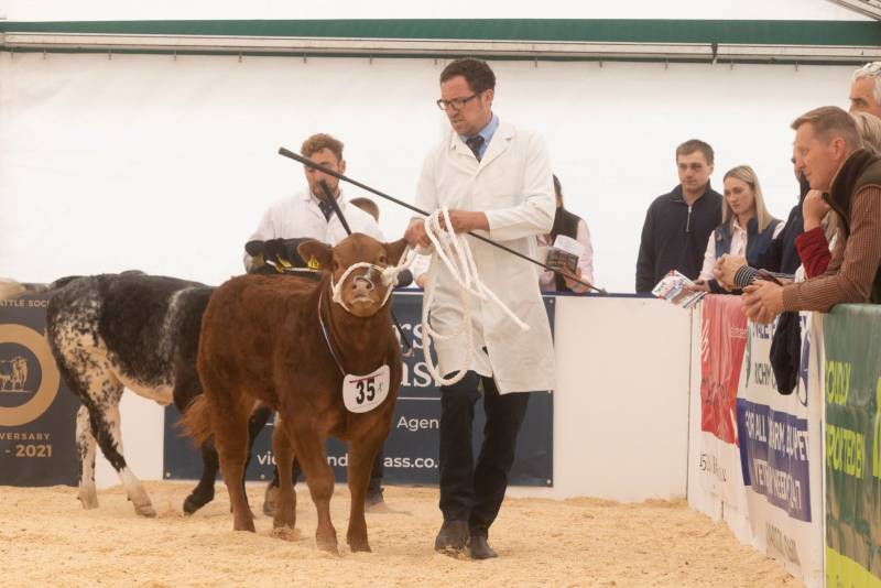 National Commercial Cattle Show 2022
