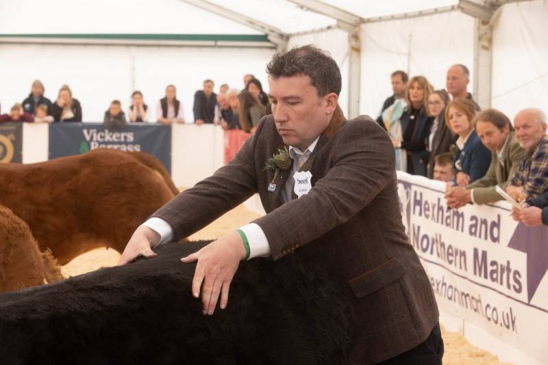 National Commercial Cattle Show 2022