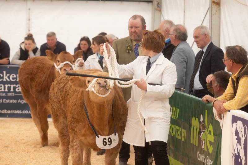 National Commercial Cattle Show 2022