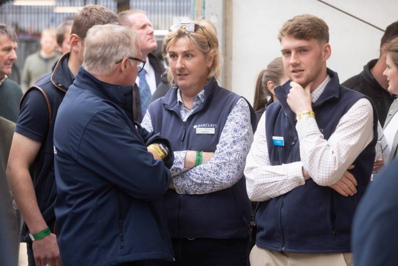National Commercial Cattle Show 2022