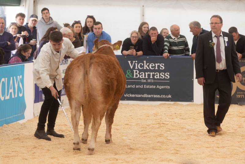 National Commercial Cattle Show 2022