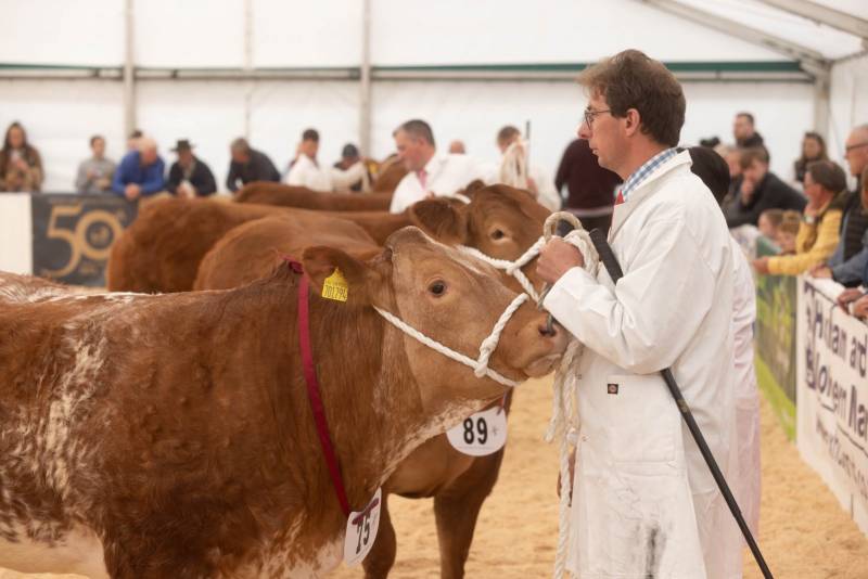 National Commercial Cattle Show 2022