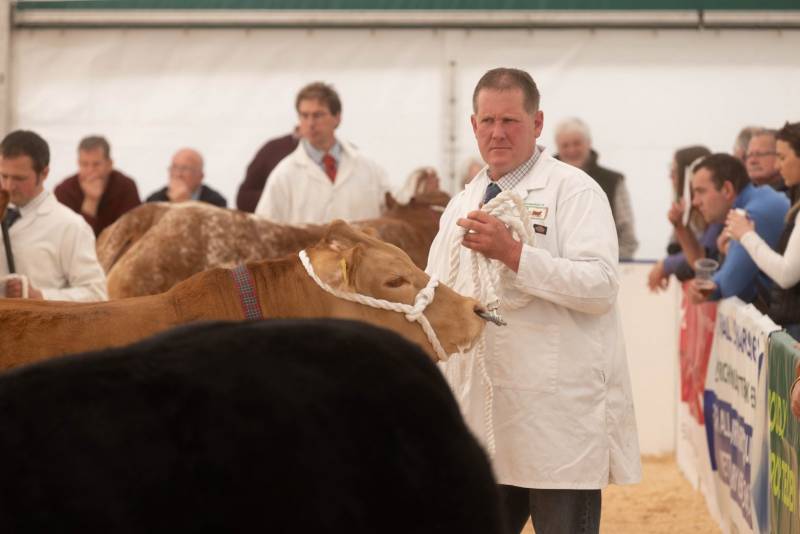 National Commercial Cattle Show 2022