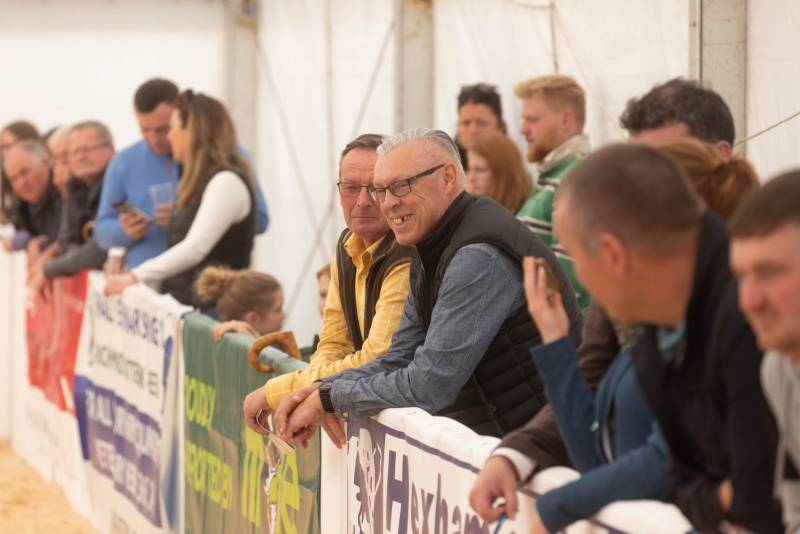 National Commercial Cattle Show 2022