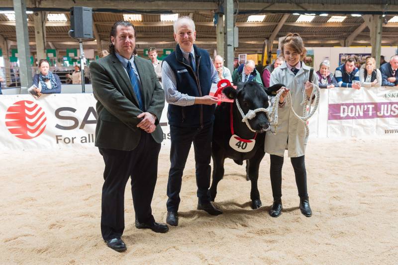Baby Beef Steer - Winner