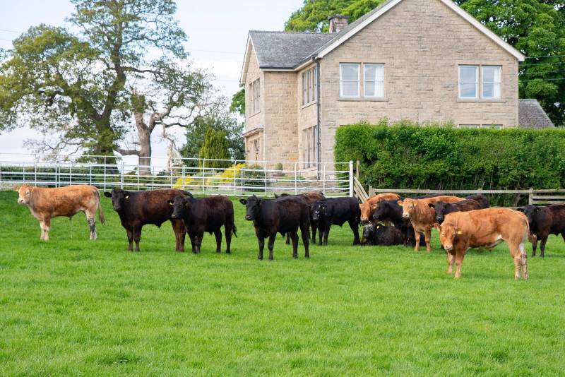 Low Grange Farm, Melsonby, courtesy of D Richardson & Co.