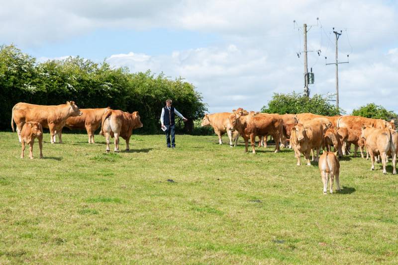 South Farm, Cornsay, courtesy of the Suddes family