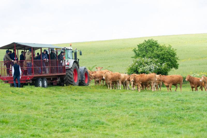 South Farm, Cornsay, courtesy of the Suddes family