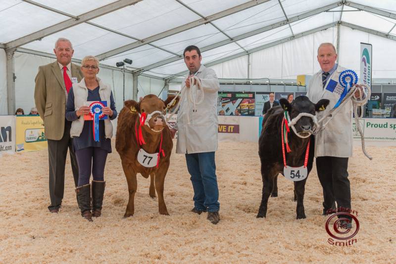 Heifer Champion and Reserve