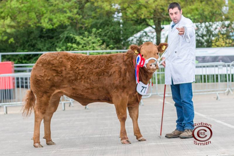 Overall Champion - Daisy Duke