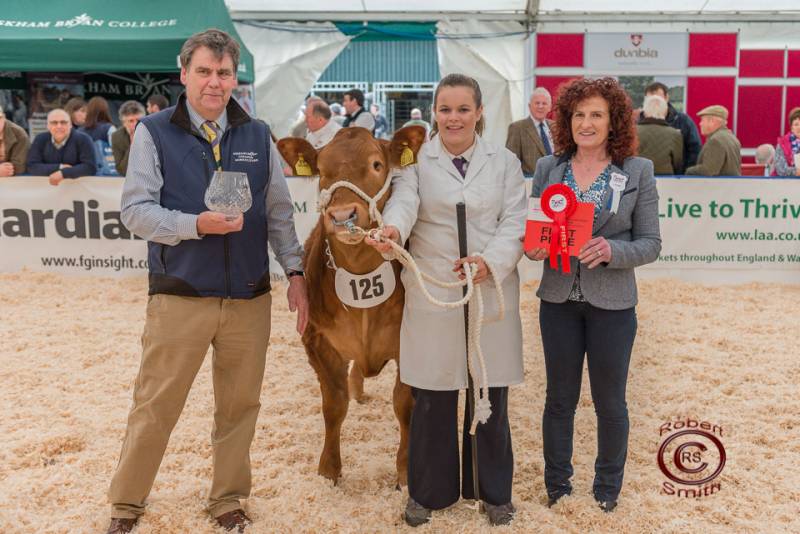 Young Handler Senior Winner