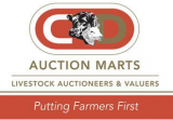 C & D Auction Mart Ltd