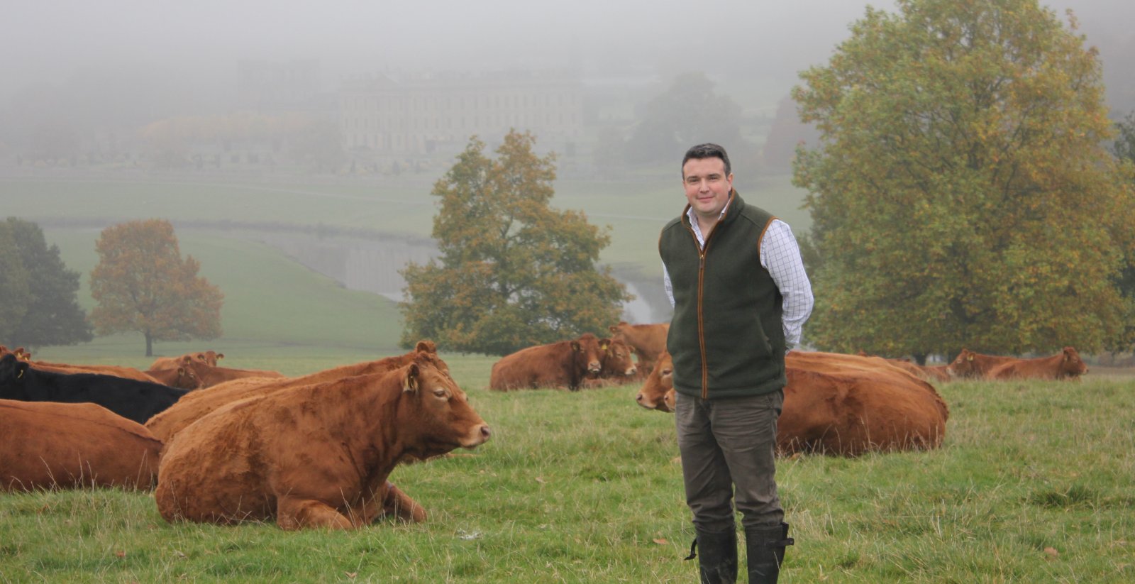 Chatsworth Estate Herd