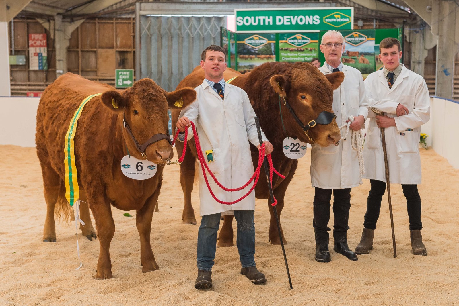 South Devon Champion and Reserve