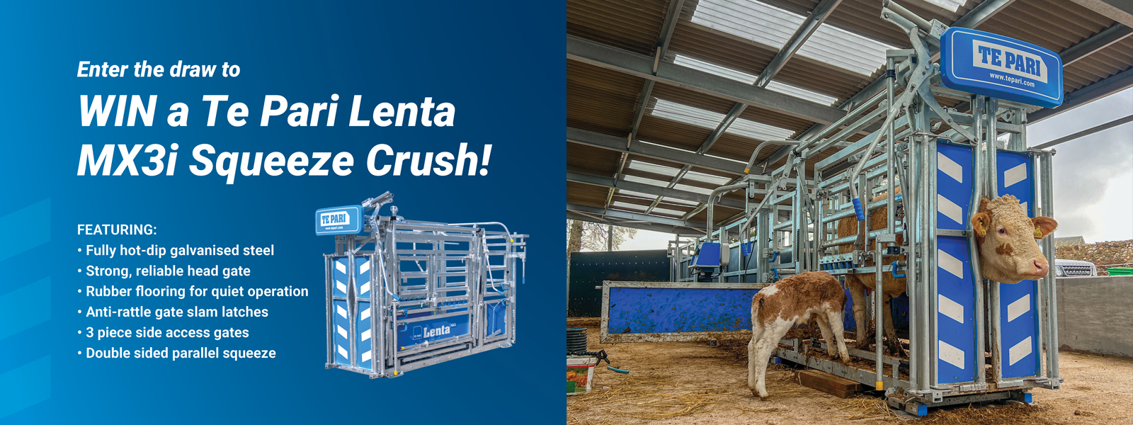 Cow in a crush with the following text. Win a Te Pari Lenta MX3i Squeeze Crush
