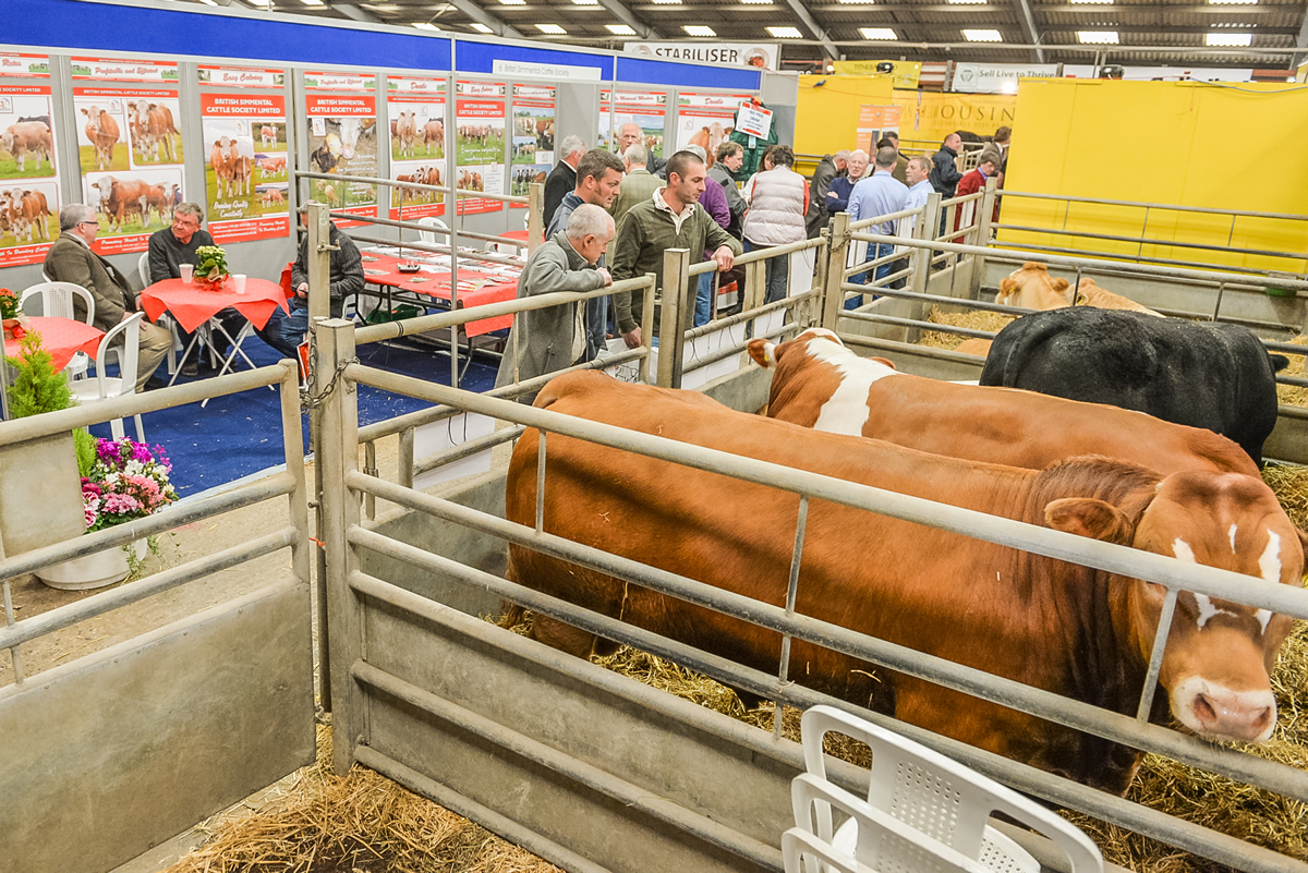 Simmental Cattle Society